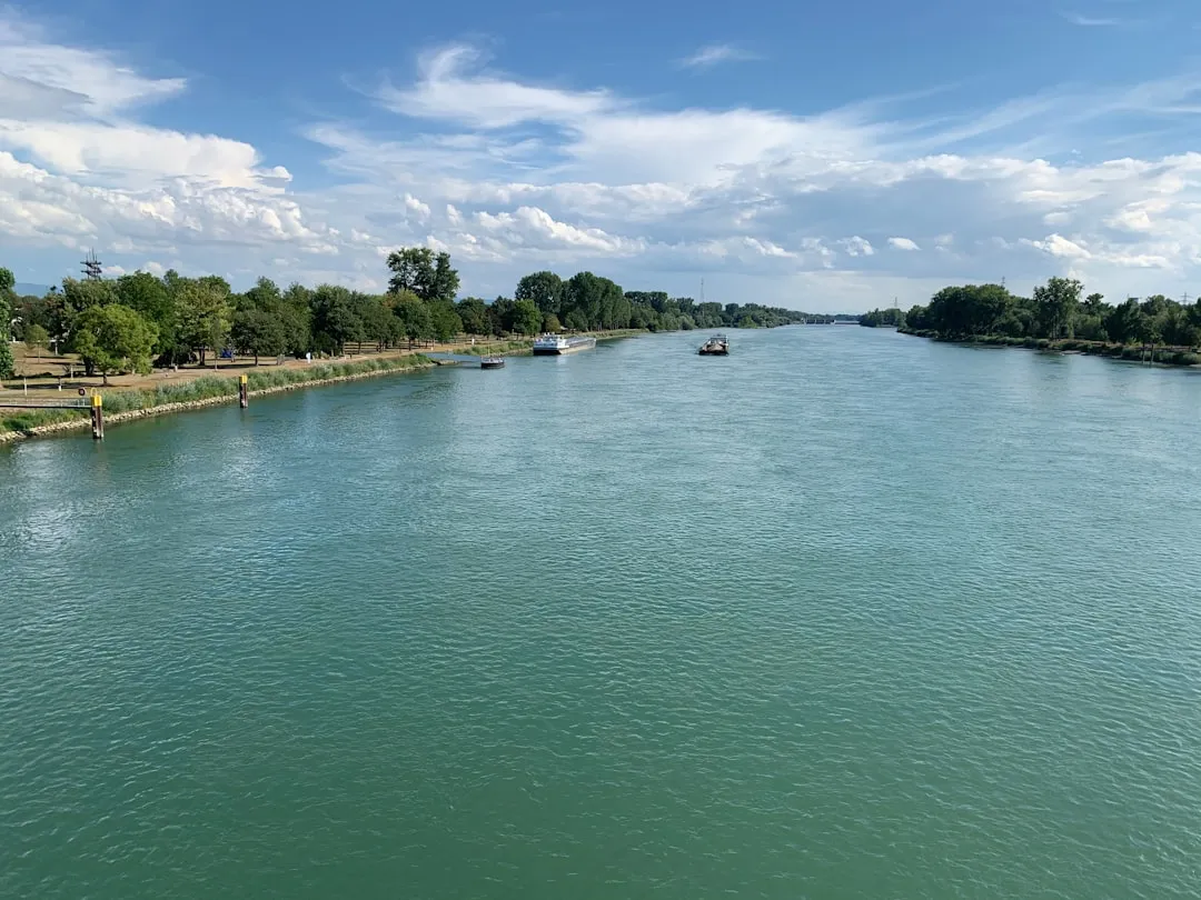 Photo Delta Dunării