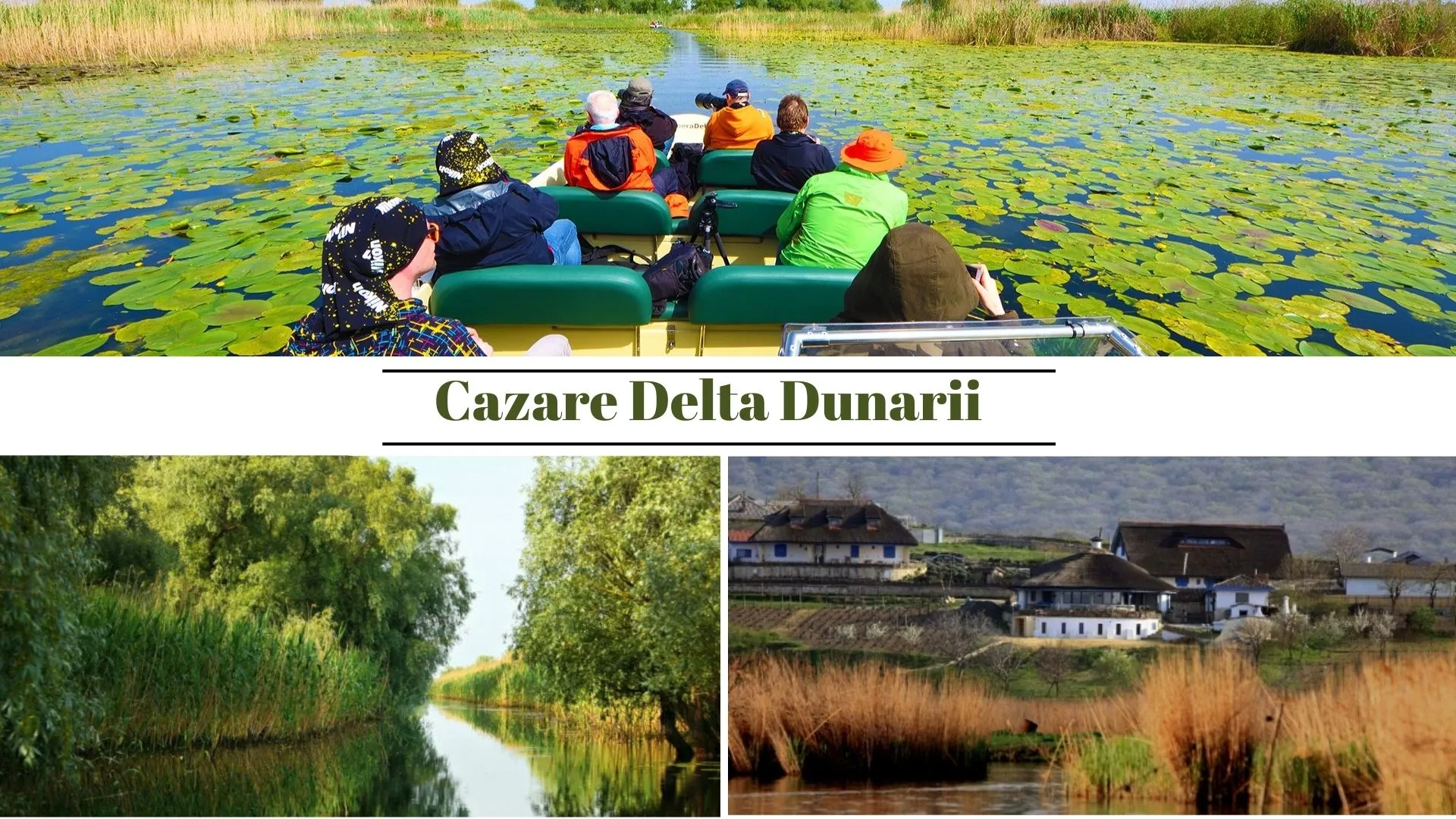 Oferte cazare in Delta Dunarii la vile, pensiuni si hoteluri