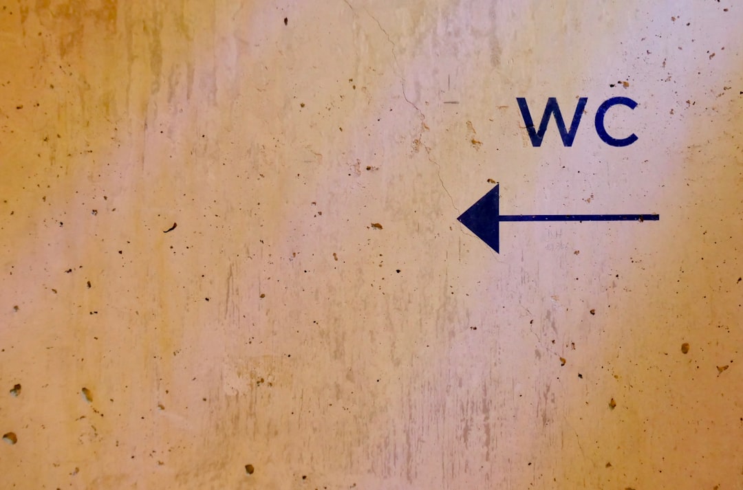 Photo organize time vacation