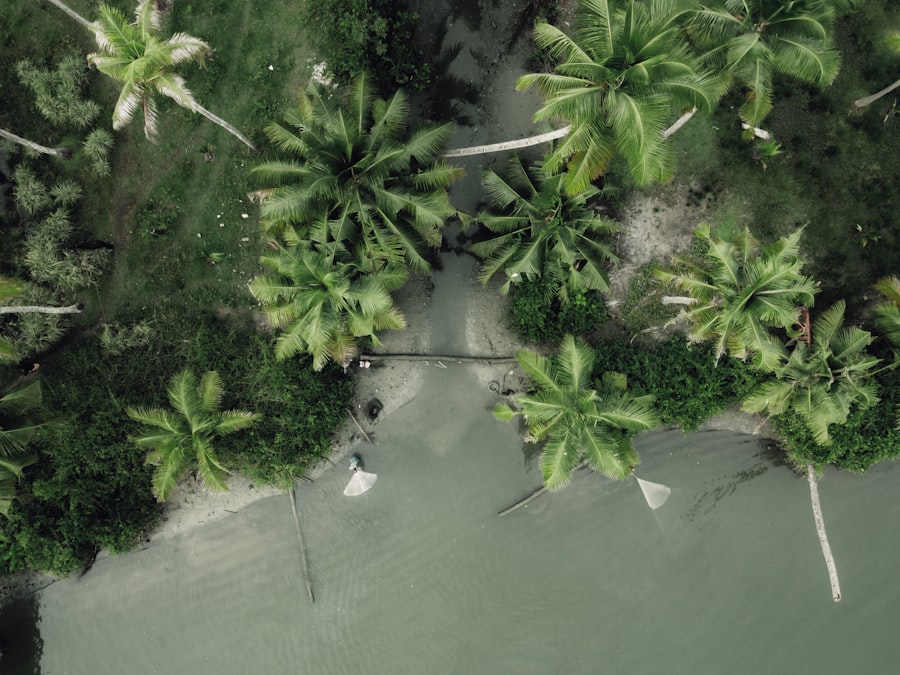 Photo nature tourism