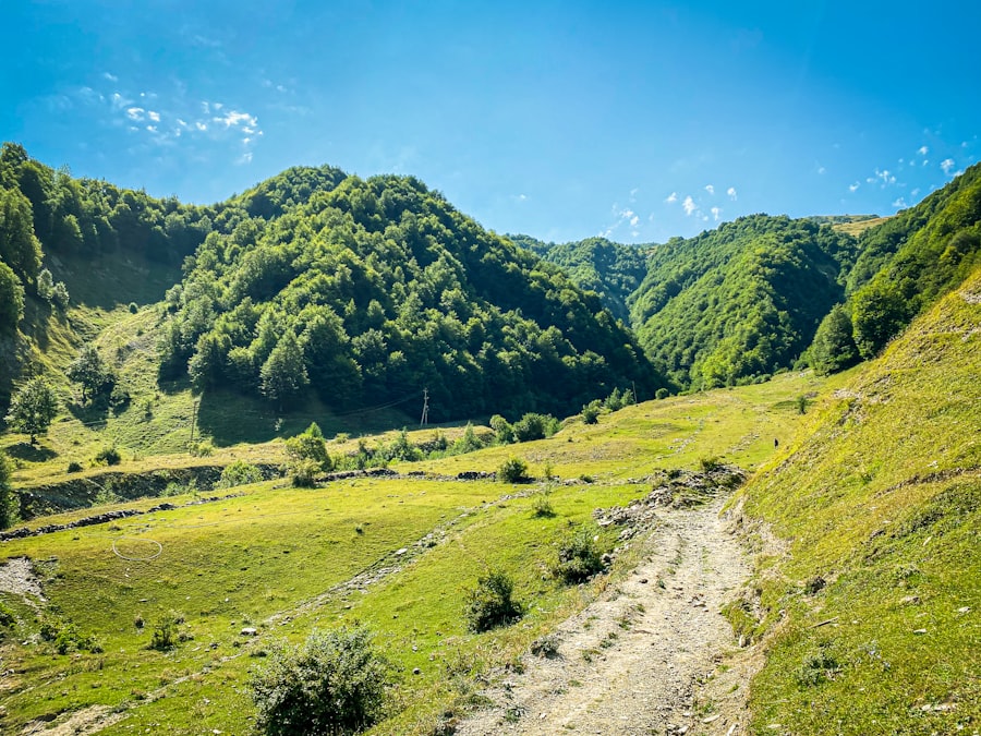 destinații