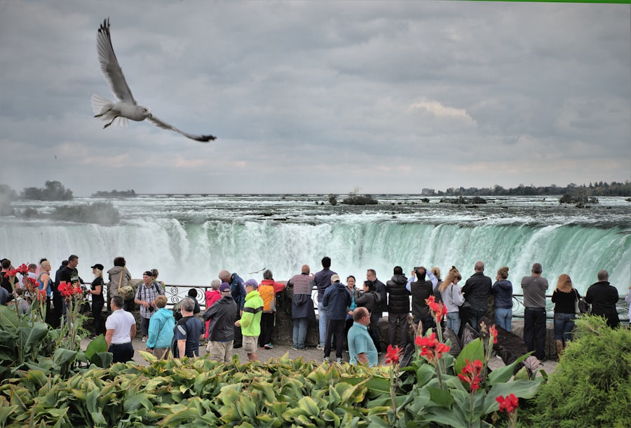 tourism