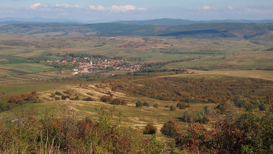 Photo vacanțe tematice