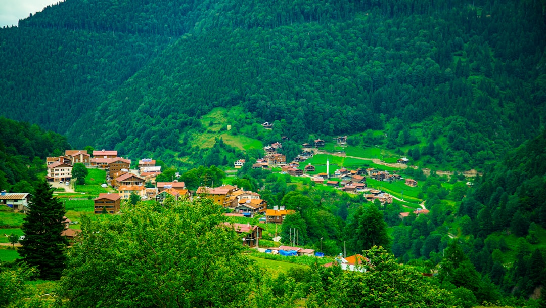 Photo destinații