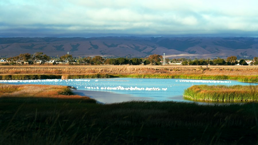 communities near water