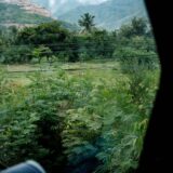 Greșeli frecvente la schimbul valutar în timpul călătoriilor