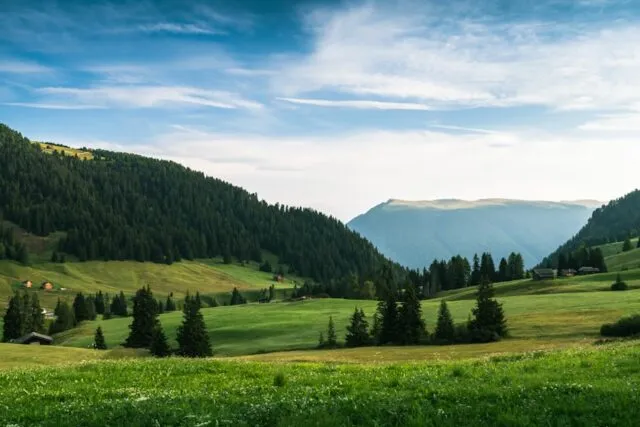 Photo Delta Dunării