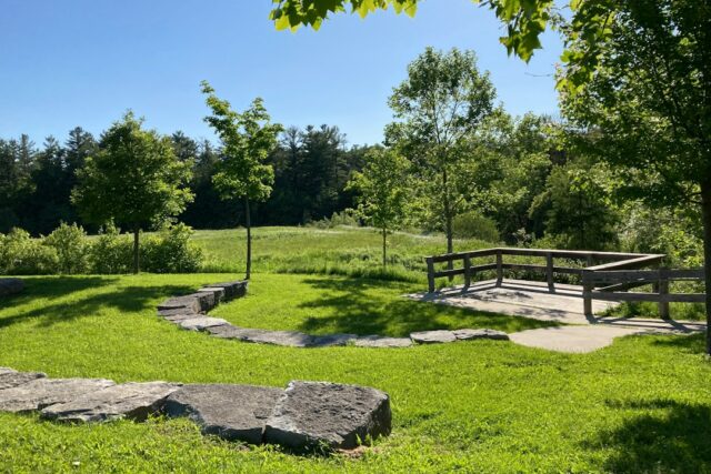 Photo natural area