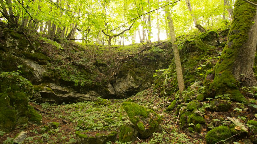 Photo natural area