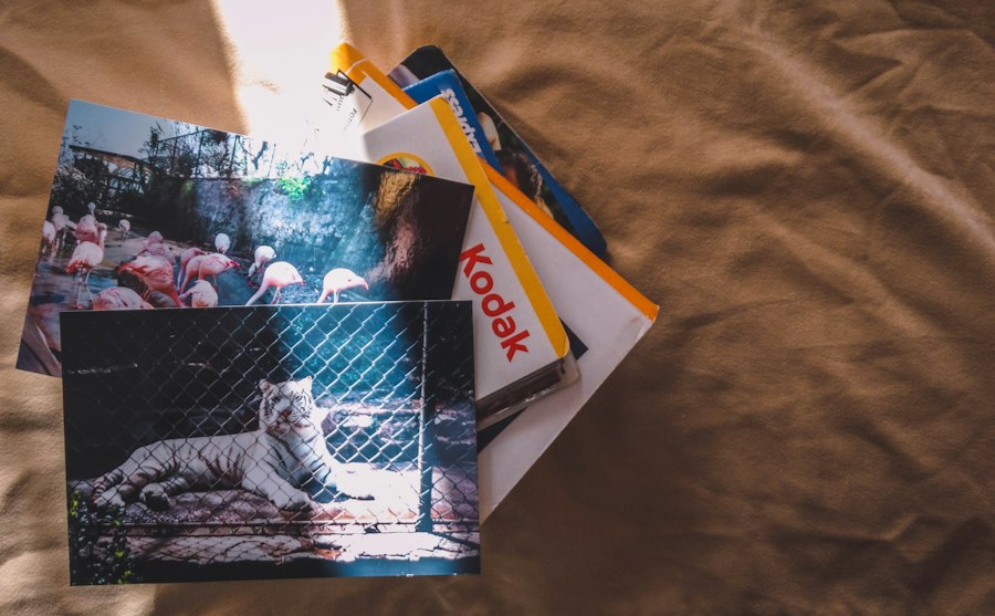 photographs