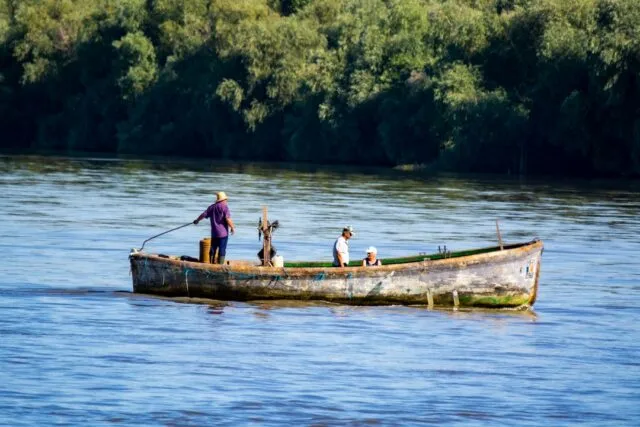 Photo Danube Delta fishing tips