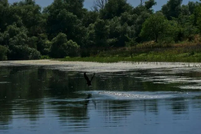 Photo Danube Delta environmental protection
