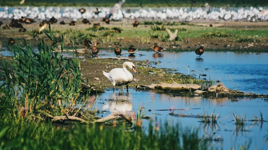 Danube Delta biodiversity map