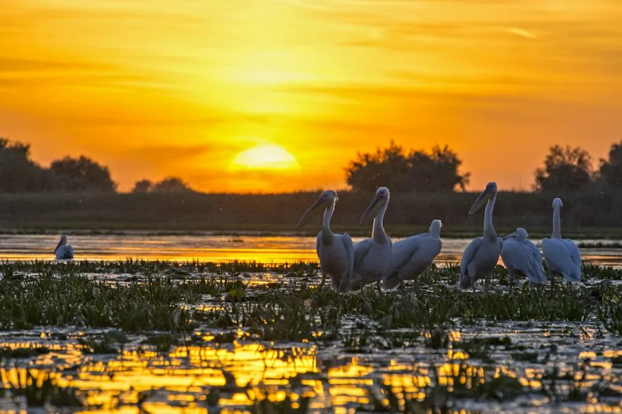 Photo Danube Delta environmental protection