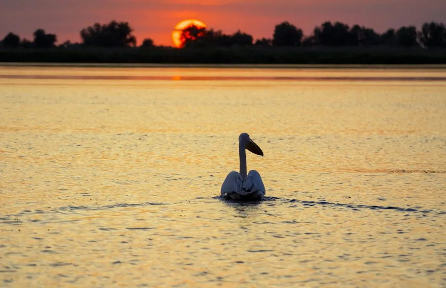 Danube Delta environmental protection