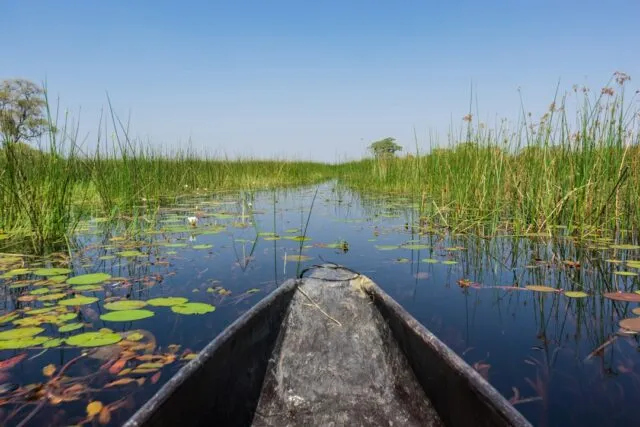 Photo delta nature photography tips