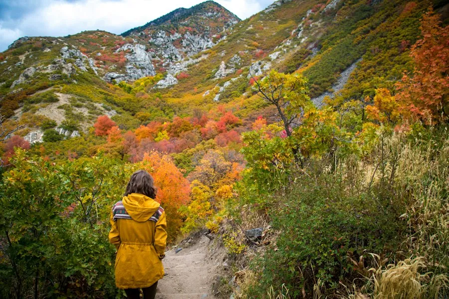 best season to visit guide