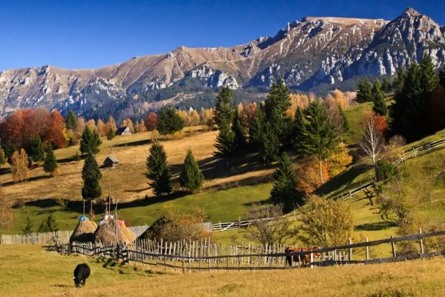 Photo Dobrogea Romania landmarks nature