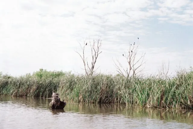 Photo boat trip mistakes Danube Delta