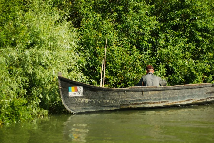 Photo Danube Delta gastronomy mistakes