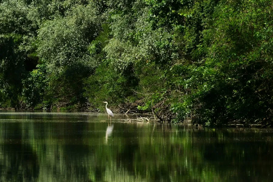 Photo Danube Delta fishing mistakes