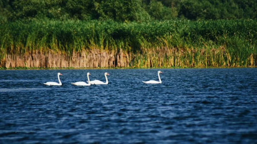 Photo Danube Delta villages common mistakes