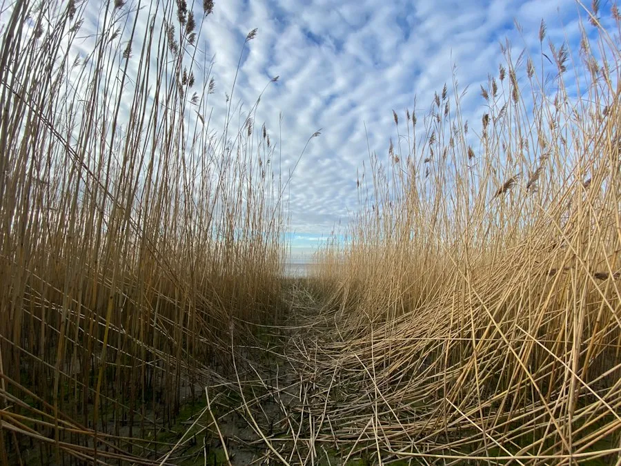 Photo nature photography delta mistakes