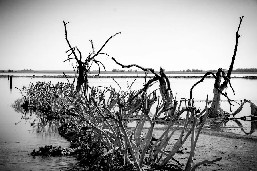 nature photography delta mistakes