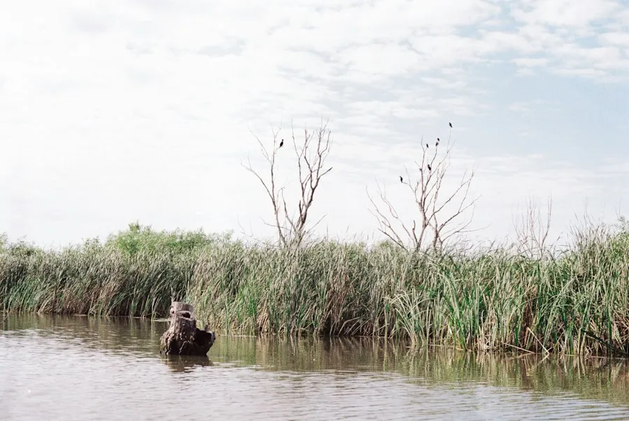 Photo Danube Delta accommodation mistakes