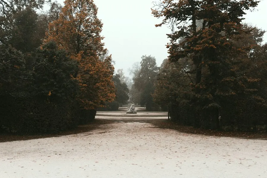 Photo best season to visit mistakes