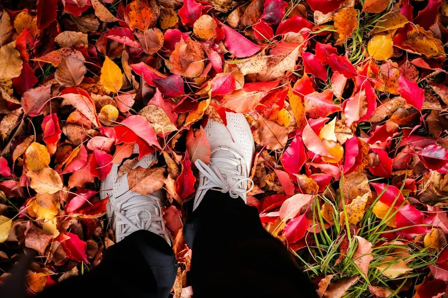 best season to visit mistakes